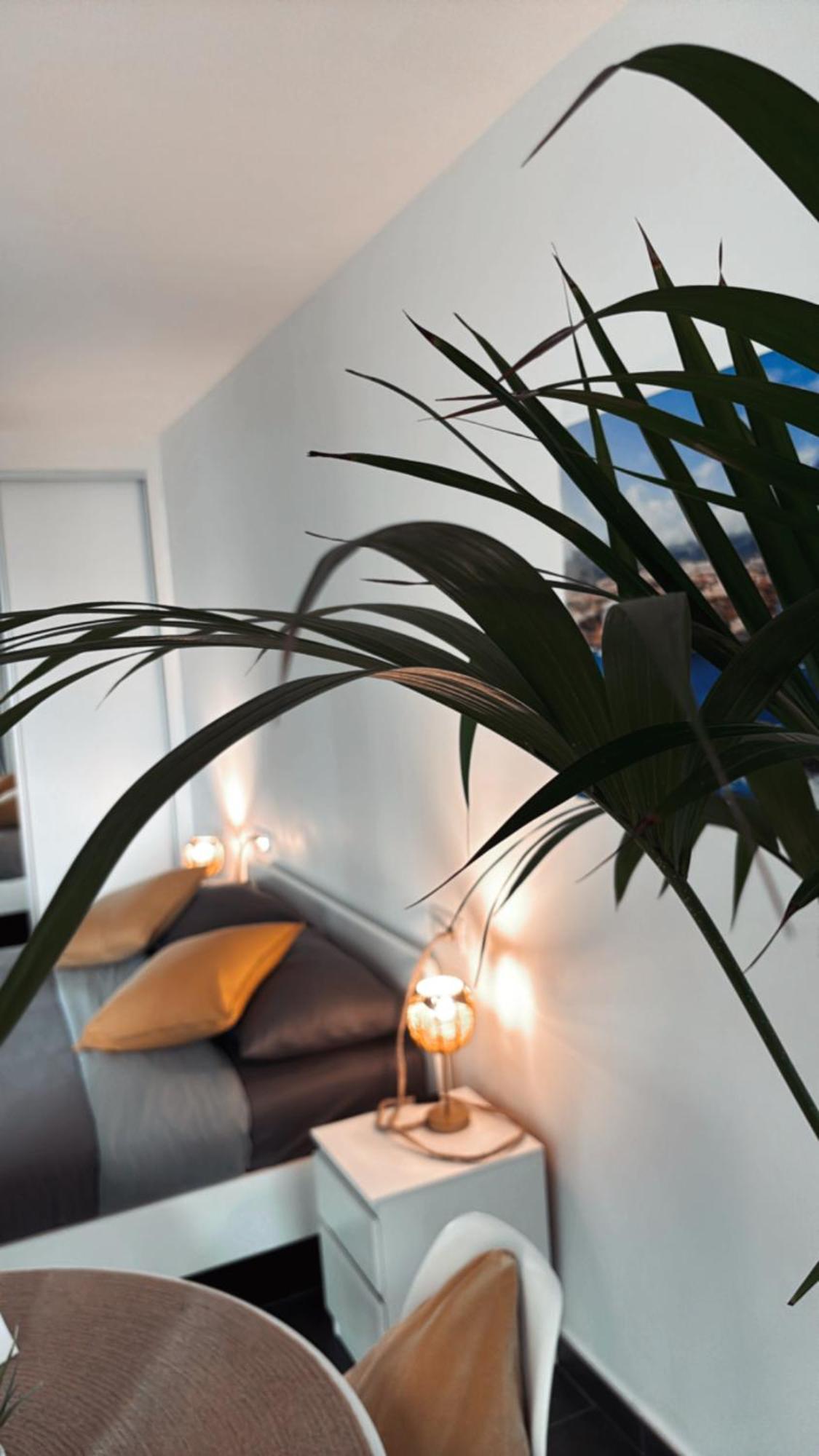 פוארטו דה לה קרוז Marina Suites Tenerife מראה חיצוני תמונה
